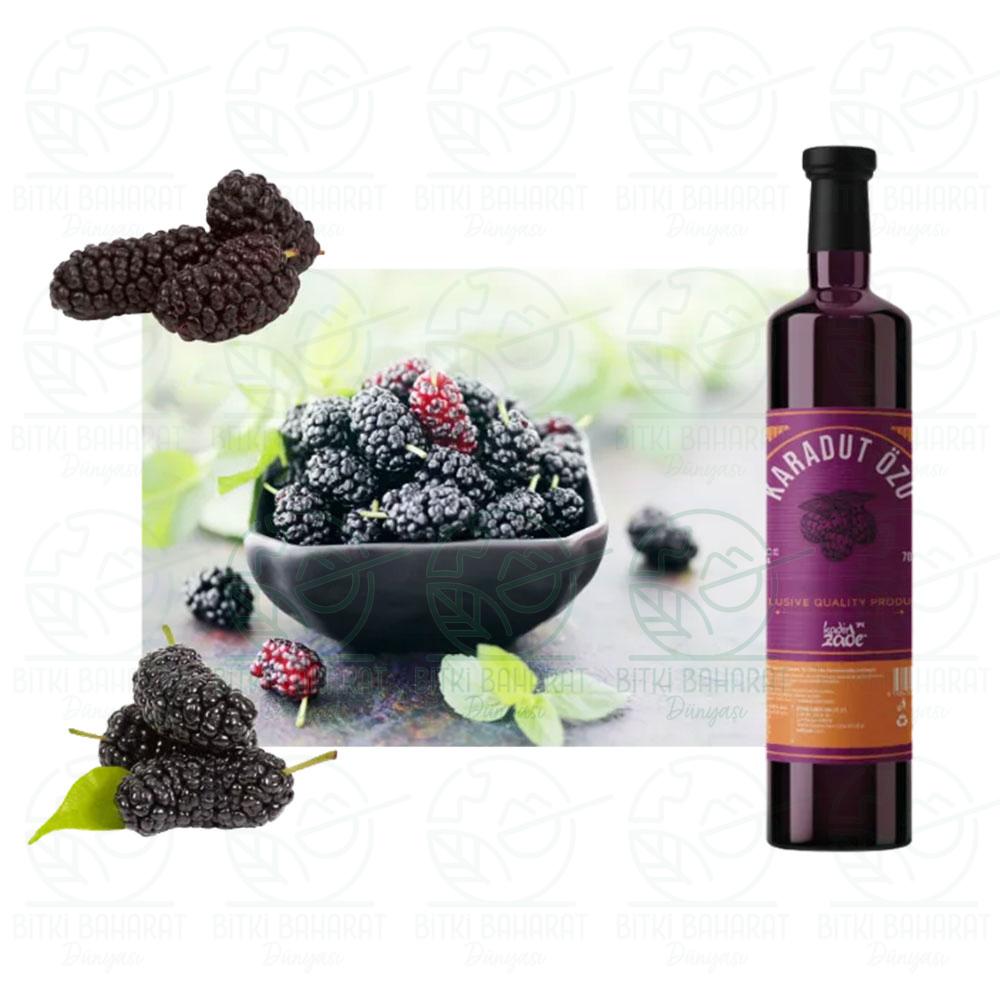 Kadir Zade Karadut Özü 700 Gr - Görsel 2